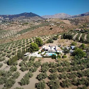 Bed & Breakfast Amorosa, Villanueva de la Concepción